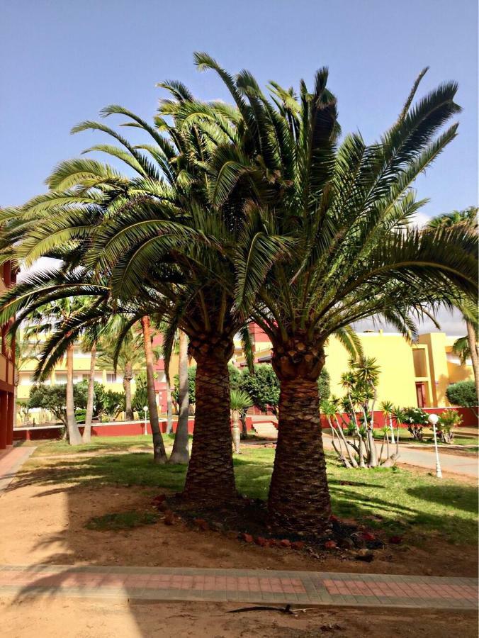 Апартаменти Fuerteventura - La Caleta, Parques Holandes Ла-Оліва Екстер'єр фото
